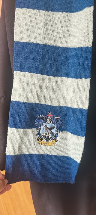 Disfraz Harry Potter Ravenclaw Talla de 44 a 50