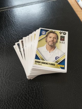 Lote de Cromos Liga Panini