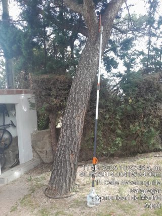 Motosierra Stihl Naranja