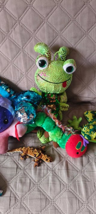 Set de  Peluches Variados