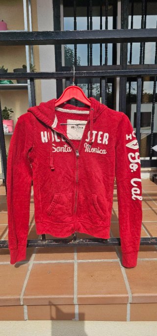 Sudaderas Hollister con Cremallera y capucha