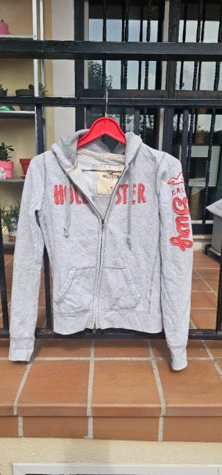 Sudaderas Hollister con Cremallera y capucha