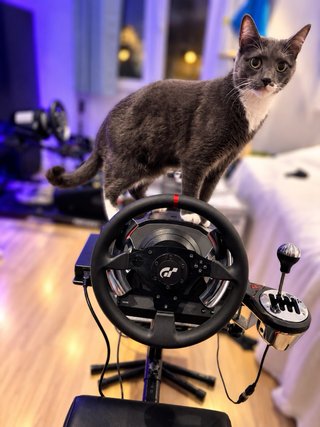 SETUP COMPLETO SIM RACING Thrustmaster T500RS