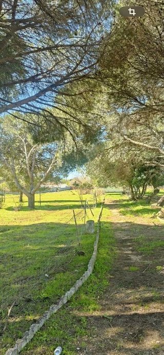 Terreno en venta en Pelagatos - Pago del Humo en Chiclana de la Frontera