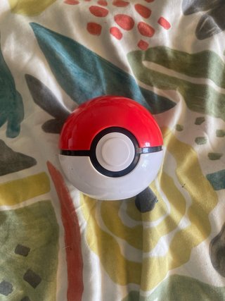 Poké Ball Nintendo