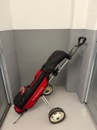 Carrito de Golf