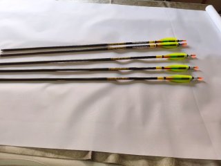 Flechas para arco de poleas Gold Tip