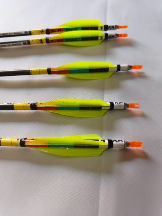 Flechas para arco de poleas Gold Tip