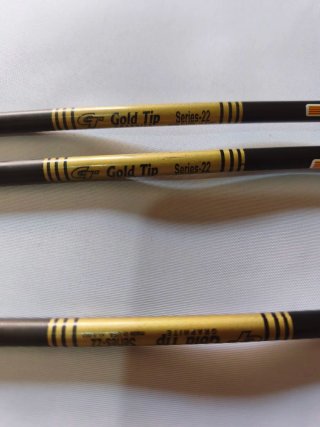 Flechas para arco de poleas Gold Tip