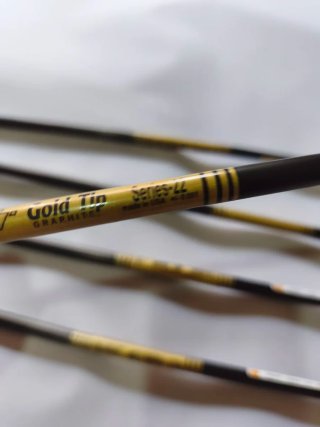 Flechas para arco de poleas Gold Tip