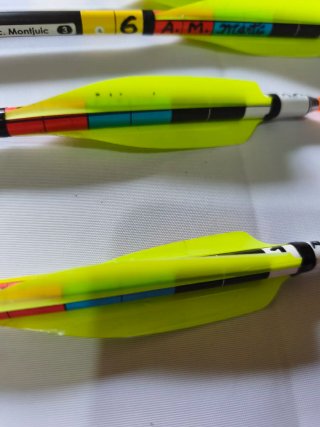 Flechas para arco de poleas Gold Tip