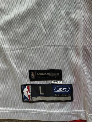 Camiseta NBA Detroit Pistons Richard Hamilton