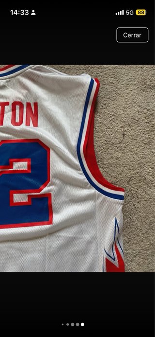 Camiseta NBA Detroit Pistons Richard Hamilton