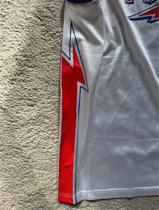 Camiseta NBA Detroit Pistons Richard Hamilton