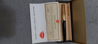Aurora 88P Penna Stilografica Oro Nero