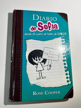Diario de Sofía: desde el cuarto de baño de chicos