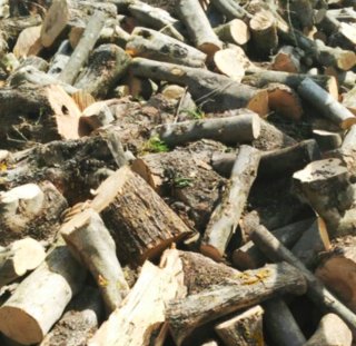 Leña de olivo para chimenea o barbacoa