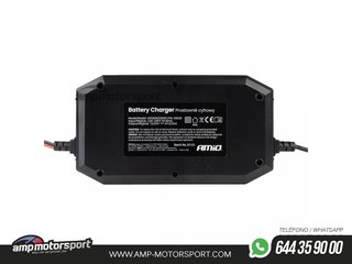 CARGADOR DE BATERÍA DIGITAL BOOST AGM GEL STD LIFEPO4 MAX 25A 12/24V PRO AMiO-04530