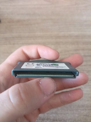 The Sims 2 (Game Boy Advance)