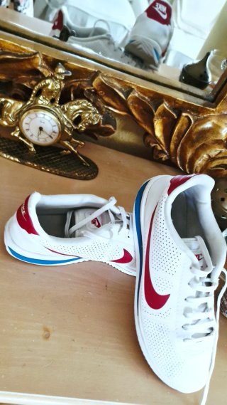 Zapatillas Nike Hombre Talla 43