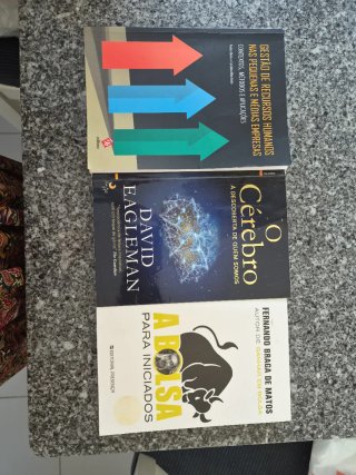 Lote 3 Livros: Gestão, Cérebro, Bolsa