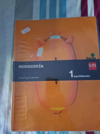 Economía, 1 Bachillerato
