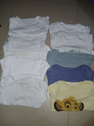 Lote 10 Bodys Manga Larga Talla 12 Meses