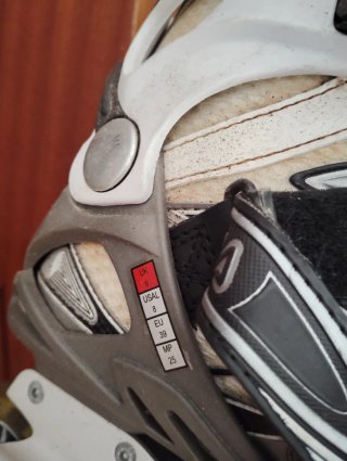 Patines en línea Fila Thotis