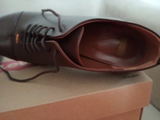 Zapatos Abotinados Marrones Levi's