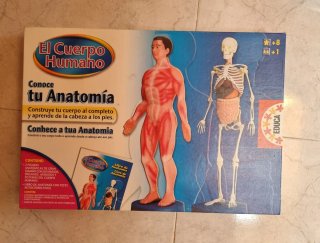 Juego Educativo El Cuerpo Humano - Educa