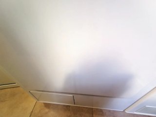 Secadora Miele Softtronic T8402C Casi Nueva
