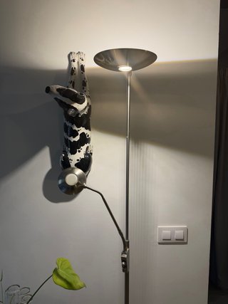 Lámpara de pie regulable