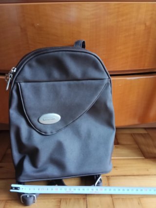 Mochila Samsonite Marrón metalizado