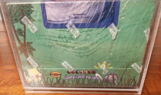 Box Pokémon Jungle Theme Decks 1999