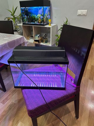 Acuario de 20 litros