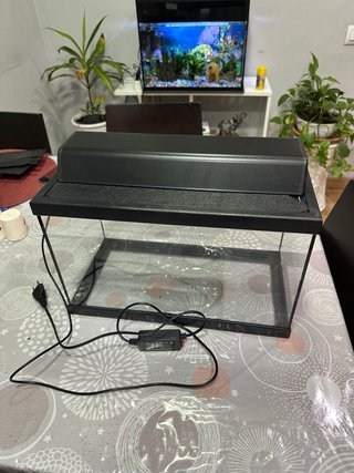 Acuario de 20 litros
