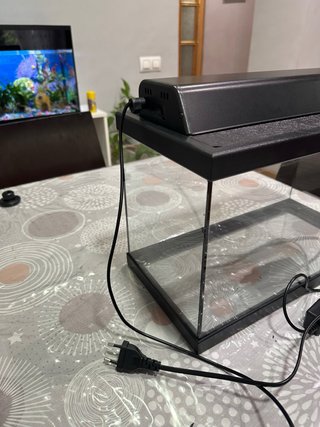 Acuario de 20 litros