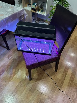 Acuario de 20 litros