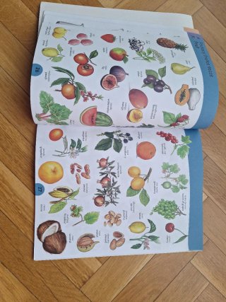 Libro Mis 1000 primeras palabras inglés