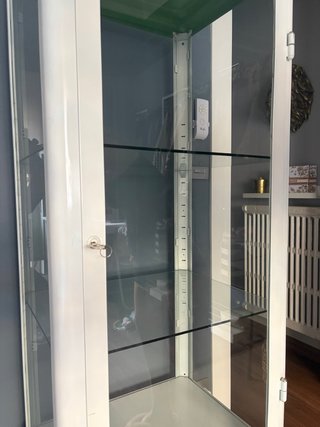 Vitrina de cristal y metal