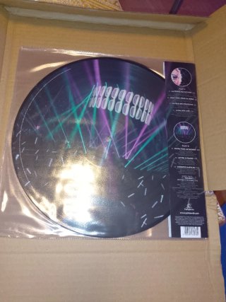 2 Vinilo Picture Disc Michel Polnareff