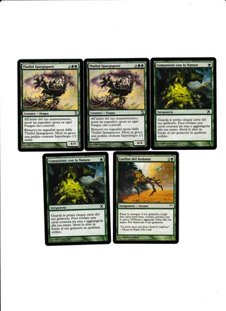 Magic the Gathering - Lotto 5 carte
