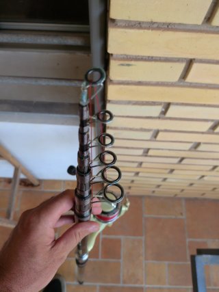 Caña de Pescar con Carrete