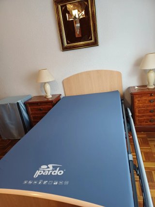 Cama articulada eléctrica marca Pardo