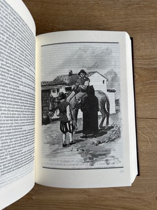 El ingenioso hidalgo don Quijote de la Mancha