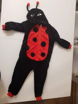 Disfraz Mariquita Talla Infantil