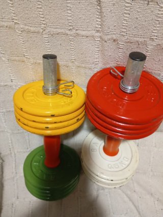 Pesas Salter - Juego de 2 mancuernas