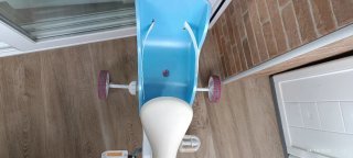 Bicicleta Infantil Frozen