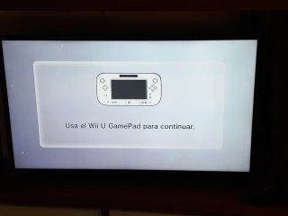 Nintendo Wii U Negra + Accesorios
