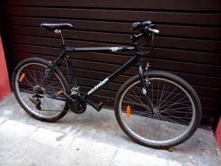 Bicicleta de Montaña